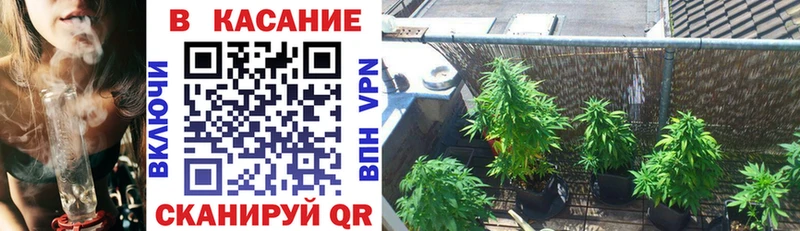 Купить закладку Бошки Шишки  СК  Мефедрон  Усмань