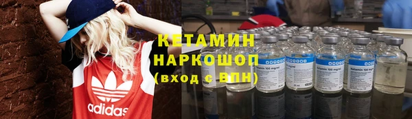 крисы Инта
