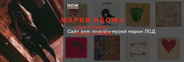 крисы Инта