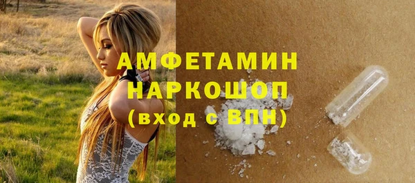 крисы Инта