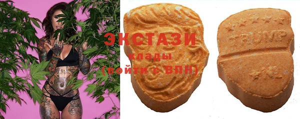 крисы Инта