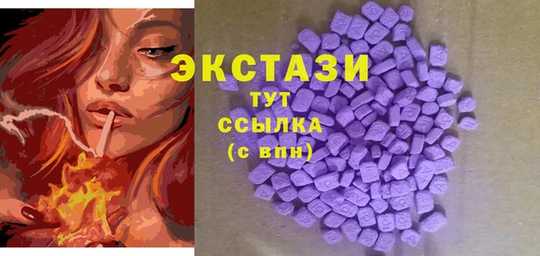 крисы Инта