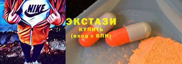 крисы Инта